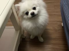 -全心全意连锁动物医院(加州店)