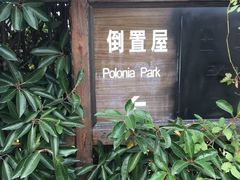 -金山农民画村-枫泾波兰倒置屋