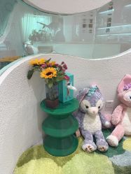 -薇薇安花系SPA