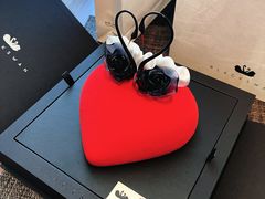 -BLACKSWAN黑天鹅(环球店)