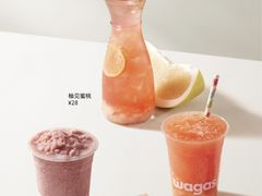 -Wagas沃歌斯(深圳印力中心店)