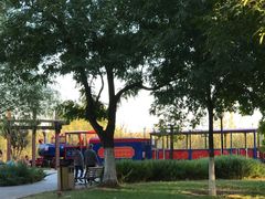 -永定河休闲森林公园