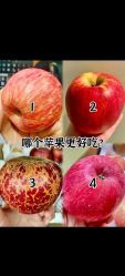 -金美秀养生瘦身
