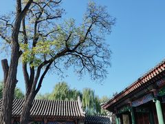 -恭王府博物馆