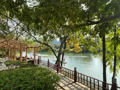 -广悦华阳朔河畔度假酒店(十里画廊遇龙河店)