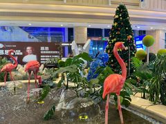 -上海月星家居(澳门路店)