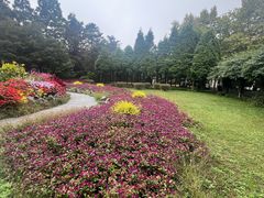 -庐山风景区花径公园