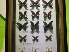 -蝴蝶泉公园