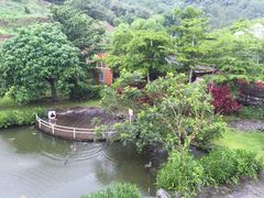 -瑞穗牧场