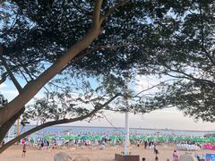 -碧海金沙