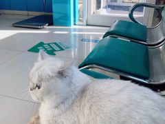 -乖乖乐动物医院(小汤山分院)