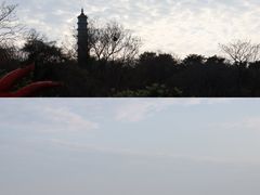 -巢湖姥山岛
