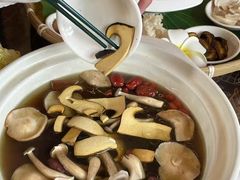 -菌林天下·野生菌汤锅