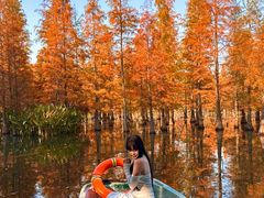 -白鹭湾湿地公园