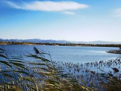-野鸭湖国家湿地公园