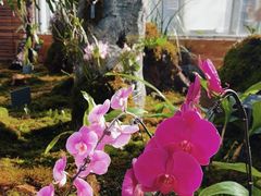 -国家植物园南园