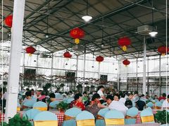 -上膳源有机农场