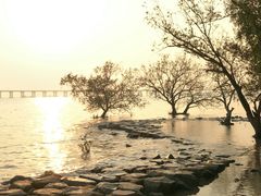 -宝安西湾红树林湿地公园