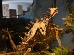 -自贡恐龙博物馆