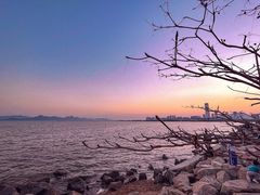 -深圳湾公园(南山区)