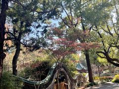 -申粤轩酒楼·三十年粤菜经典(丁香花园店)