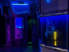 -BlueGame深蓝密室逃脱真人NPC(京投港·长阳店)