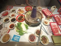 -董记老清泉·鲜切涮羊肉(窑岭店)