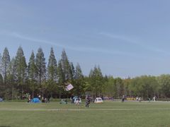 -上海滨江森林公园