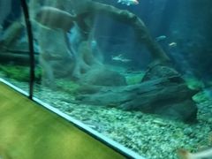 -福州罗源湾海洋世界旅游区