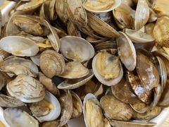 -邵汇大虾(泉园一路店)