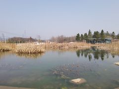 -佛手湖郊野公园