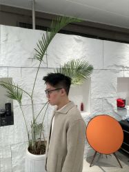 -BOF HAIR BY HONTO