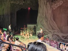 -广州长隆国际大马戏
