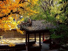 -晋祠公园