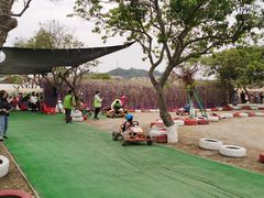 -长洲岛都市农业公园