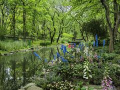 -上海共青森林公园