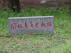 -上海共青森林公园