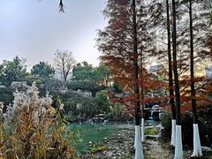 -天鹅湖体育公园