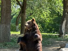 -北京野生动物园