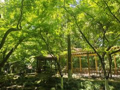 -虞山风景区