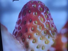 -Ice Monster冰馆·CNN评选全球十大甜品(国贸商城店)