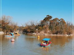 -上海吴淞炮台湾国家湿地公园