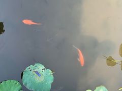 -星巴克臻选(广州二沙岛文立方店)