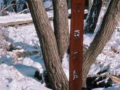 -中旅松花湖滑雪场
