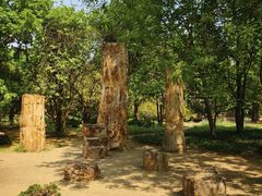 -国家植物园南园