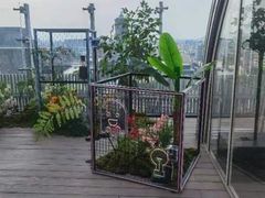 -Hi City·城市之巅