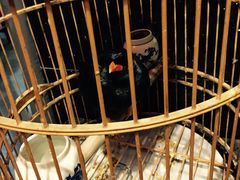 -到家尝北京菜(西坝河店)