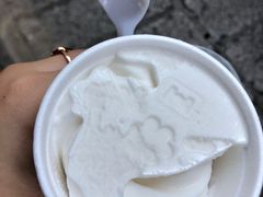 -洪馨椰子