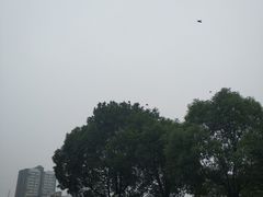 -西南政法大学(渝北校区)