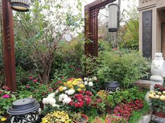 -悦隆庄温泉度假酒店